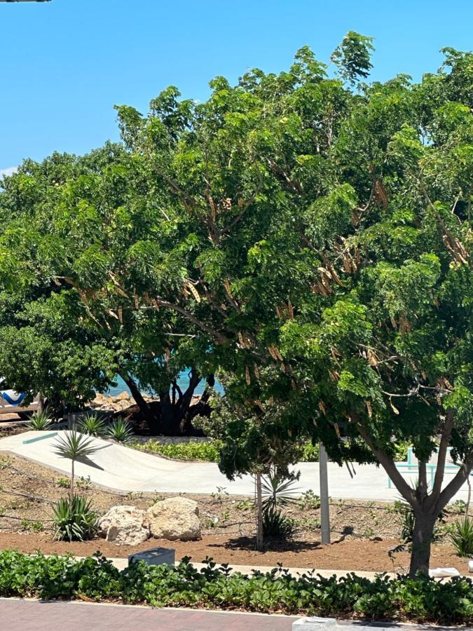 Whitehouse Boulevard, Close To Mambo Beach And City Centre Apartment Willemstad Exterior photo